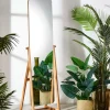 CASA BAMBOO Miroir Brun