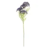 CASA BERRY Branche De Baies Rouge