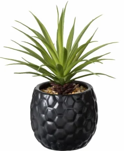 CASA BUCK Décoration Blanc