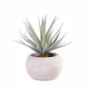 CASA CEMENT Plante Artificielle Gris