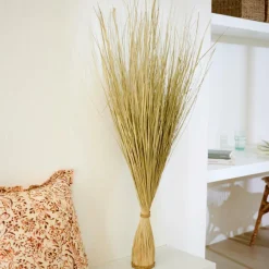 CASA COGON Botte D'herbe Naturel