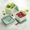 CASA FREEZER Boîtes Congélation Set De 10 Menthe, Vert Foncé
