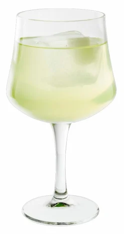 CASA GIN Verre 65 CL Transparent