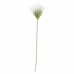 CASA GRASS Botte D'herbe Rouge
