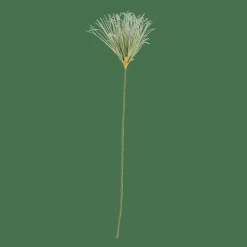 CASA GRASS Botte D'herbe Vert