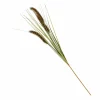 CASA GRASS Botte D'herbe Vert