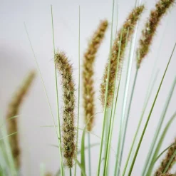 CASA GRASS Botte D'herbe Vert