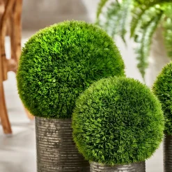 CASA GRASS Botte D'herbe Vert