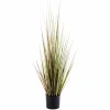 CASA HERBA Herbe En Pot Vert