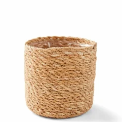 CASA HERBA Herbe En Pot Vert