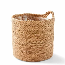 CASA HERBA Herbe En Pot Vert