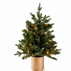CASA HYMNE Branche Décorative