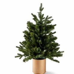 CASA HYMNE Branche Décorative