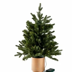 CASA HYMNE Branche Décorative Vert