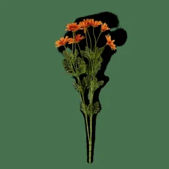 CASA INDI Orange