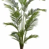 CASA KWAI Palmier Vert