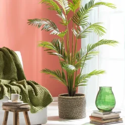 CASA KWAI Palmier Vert
