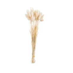 CASA LAGURUS Lagure Ovale Beige