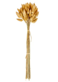 CASA LINDE Vase Brun Clair