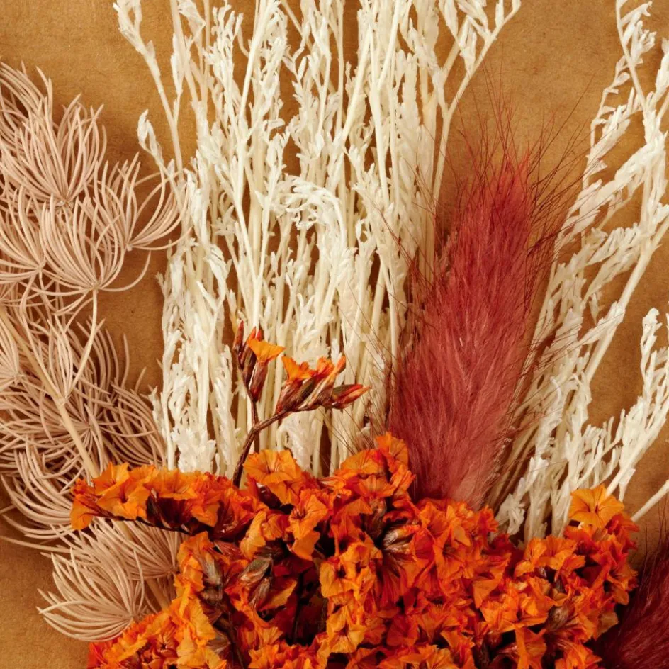 CASA MIA Décoration Séchée Orange