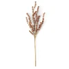 CASA MOTHERWORT Branche D'herbes Rose