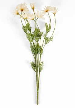 CASA PAMPLONA Vase Crème