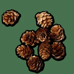 CASA PINECONE Déco à Disperser Doré