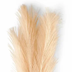 CASA PLUME Plumes Décoratives Brun Clair