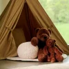CASA POLA Ours Brun