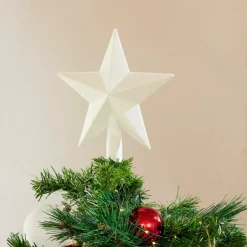 CASA STAR Décoration Séchée