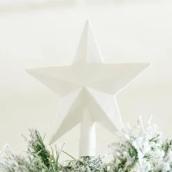 CASA STAR Décoration Séchée