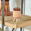 CASA STRIPE Plante Grasse Artificielle Multicolore