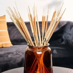 CASA TYPHA Hampes De Roseau Set De 15 Naturel