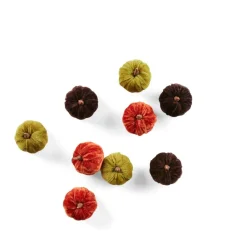 CASA VELVET Citrouille Déco Set De 3 Multicolore